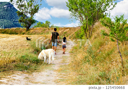 Beautiful photo of a father and daughter walking their dogs in a forest 125450668