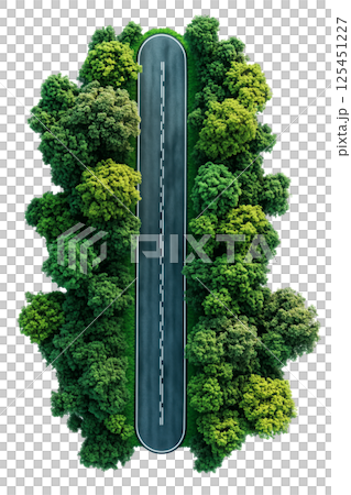 Straight road with dashed line, surrounded by green trees, isolated on a transparent background. Asphalt road with lane marking and forest on both sides. 125451227