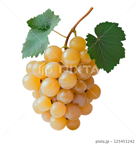 Bunch of white grapes with green leaves, isolated on a transparent background. Fresh light grape cluster on stem, whole fruit with natural texture and realistic surface for food and design projects. 125451242