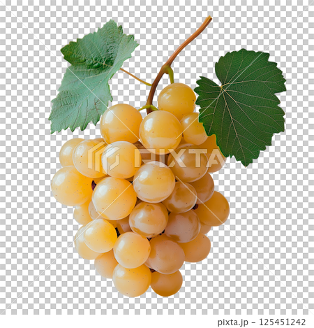 Bunch of white grapes with green leaves, isolated on a transparent background. Fresh light grape cluster on stem, whole fruit with natural texture and realistic surface for food and design projects. 125451242
