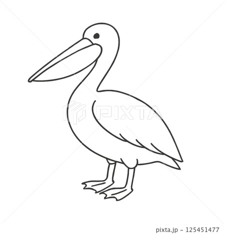 ペリカンの線画イラスト、アイコン、素材、背景なし、動物シリーズ 125451477