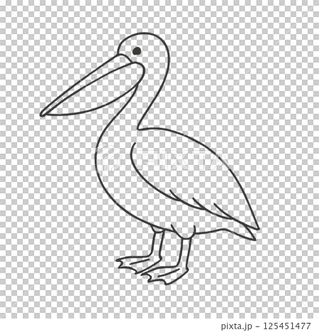 ペリカンの線画イラスト、アイコン、素材、背景なし、動物シリーズ 125451477