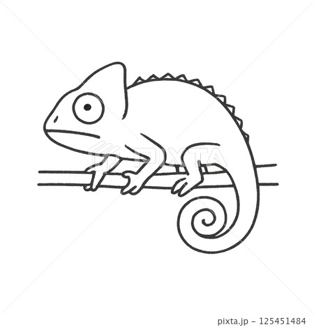 カメレオンの線画イラスト、アイコン、素材、背景なし、動物シリーズ 125451484