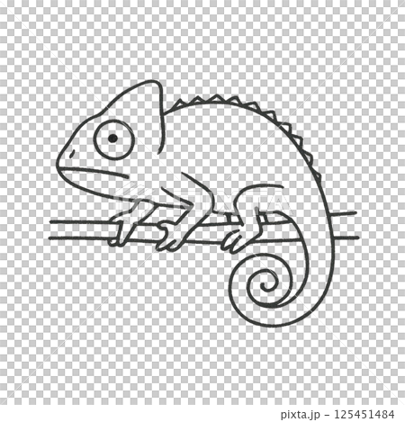 カメレオンの線画イラスト、アイコン、素材、背景なし、動物シリーズ 125451484