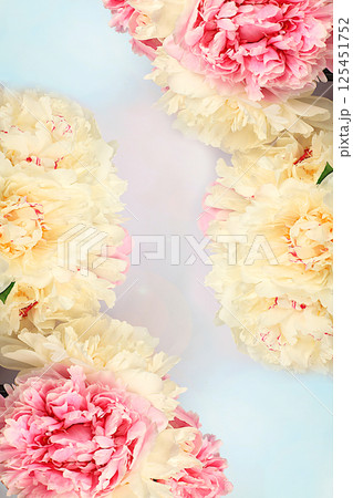 Spring floral flyer. Live beautiful peonies on a bright sunny background, abstract floral composition and template for design, greeting card for invitation or advertising. Spring floral flyer. Live beautiful peonies on a bright sunny background, abstract floral composition and template for design, greeting card for invitation or advertising. 125451752