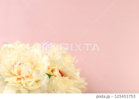 Spring floral banner with space for text. Live beautiful peonies on a bright sunny background, abstract floral composition and template for design, greeting card and flyer for invitation. Spring floral banner with space for text. Live beautiful peonies on a bright sunny background, abstract floral composition and template for design, greeting card and flyer for invitation. 125451753