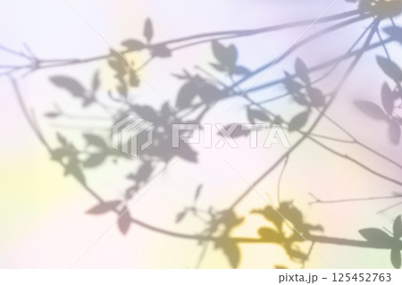 Colorful plant shadows in pastel tones 125452763