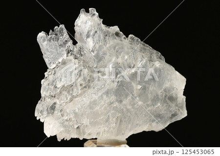 透石膏／セレナイト 125453065