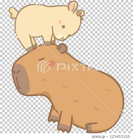 Capybara and friends  125453120