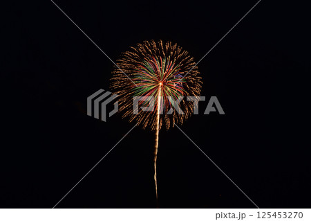 初夏の思い出 <ふじてんスノーリゾート> 初夏の思い出 <ふじてんスノーリゾート> 125453270