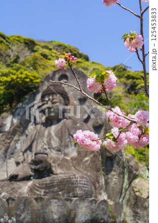 【千葉県】鋸山 日本寺・春に咲く桜と大仏広場 【千葉県】鋸山 日本寺・春に咲く桜と大仏広場 125453833