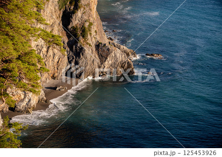 鵜の巣断崖 鵜の巣断崖 125453926