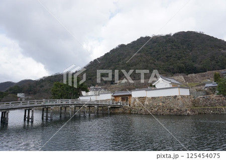冬の山陰　鳥取県の名所　城下町から大山へ 125454075