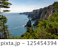 北山崎 125454394
