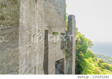 【千葉県】鋸山　ラピュタの壁 125455262