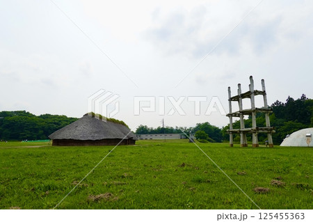 三内丸山(さんないまるやま)遺跡 縄文のムラ 復元大型掘立柱建物と復元大型住居 青森県青森市 三内丸山(さんないまるやま)遺跡 縄文のムラ 復元大型掘立柱建物と復元大型住居 青森県青森市 125455363