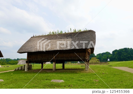 三内丸山(さんないまるやま)遺跡　縄文のムラ　高床式の掘立柱建物跡　青森県青森市 125455366