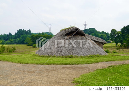 三内丸山(さんないまるやま)遺跡 縄文のムラ 広々とした芝生に点在する復元住居 青森県青森市 三内丸山(さんないまるやま)遺跡 縄文のムラ 広々とした芝生に点在する復元住居 青森県青森市 125455393