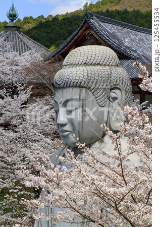 壺阪寺の桜大仏 壺阪寺の桜大仏 125455534