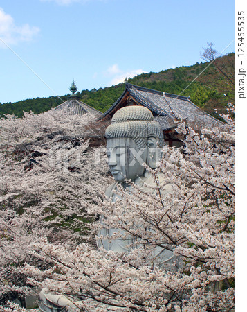 壺阪寺の桜大仏 壺阪寺の桜大仏 125455535