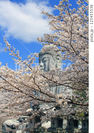 壺阪寺の桜大仏 壺阪寺の桜大仏 125455536