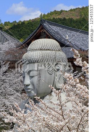 壺阪寺の桜大仏 壺阪寺の桜大仏 125455537