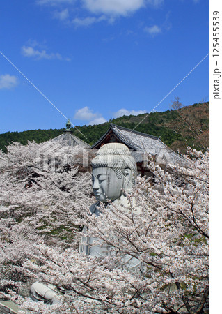 壺阪寺の桜大仏 壺阪寺の桜大仏 125455539