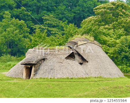 三内丸山(さんないまるやま)遺跡 縄文のムラ 広々とした芝生にある復元住居 青森県青森市 三内丸山(さんないまるやま)遺跡 縄文のムラ 広々とした芝生にある復元住居 青森県青森市 125455564