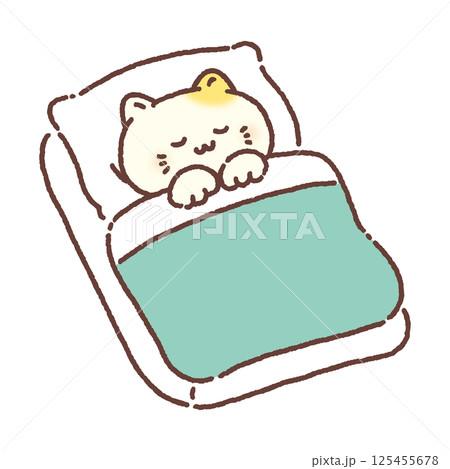 布団でぐっすり眠るかわいい猫 125455678