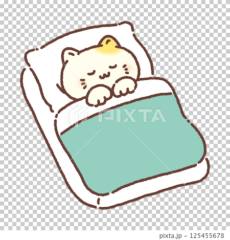 布団でぐっすり眠るかわいい猫 125455678