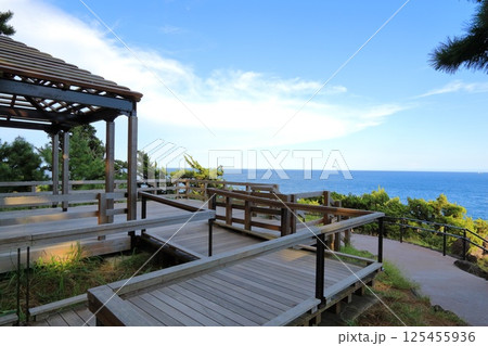 静岡県・伊東市・城ケ崎海岸 静岡県・伊東市・城ケ崎海岸 125455936