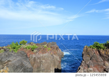 静岡県・伊東市・城ケ崎海岸 静岡県・伊東市・城ケ崎海岸 125455939