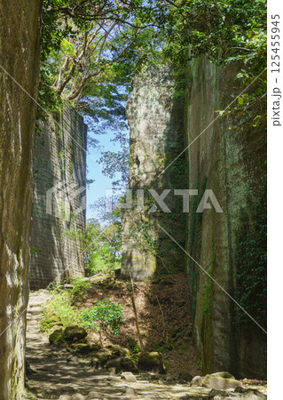 【千葉県】鋸山・切り立つ石の壁 【千葉県】鋸山・切り立つ石の壁 125455945
