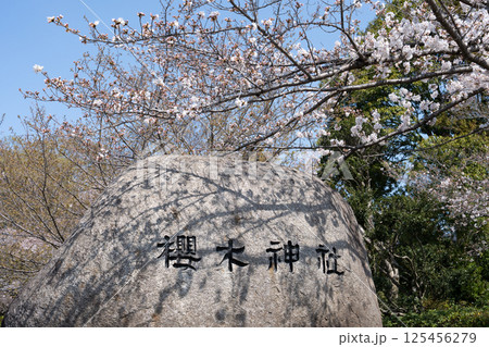 櫻木神社の駐車場外からの風景＜千葉県野田市4月＞ 125456279