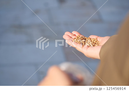 person feeding to birds at outdoor  125456914