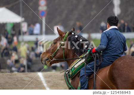東北輓馬競技大会 輓馬と扶助 125456943