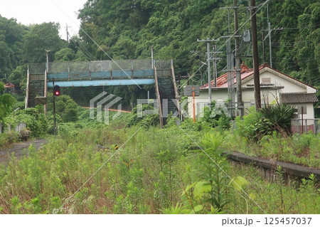 雑草に囲まれた田舎の駅 125457037