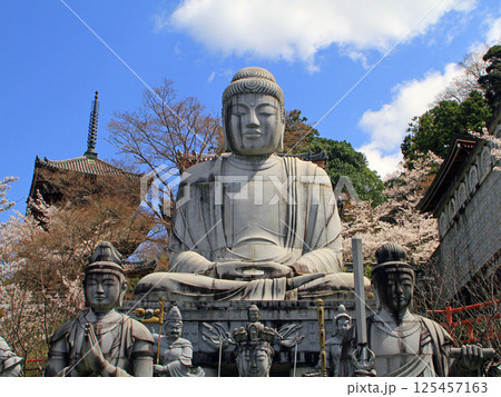 壺阪寺の桜大仏 壺阪寺の桜大仏 125457163
