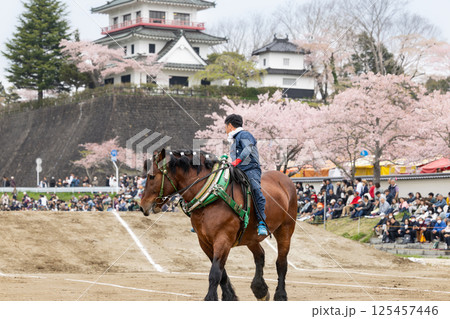 東北輓馬競技大会 輓馬と扶助 125457446