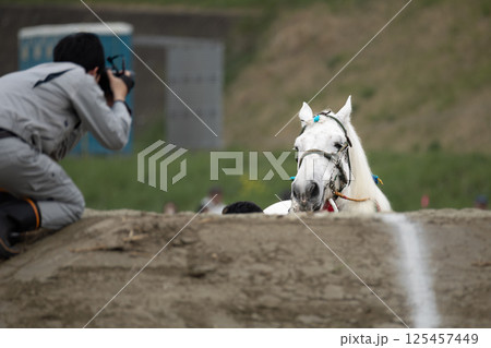 東北輓馬競技大会 障害にさしかかる輓馬とカメラマン 125457449