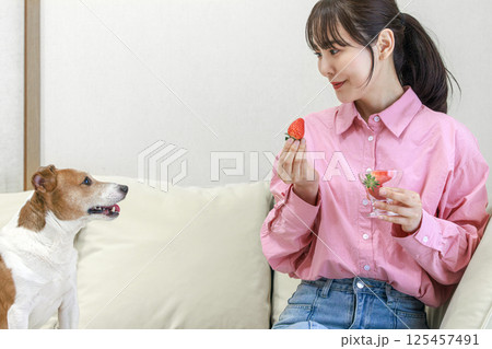 犬のいる生活 125457491
