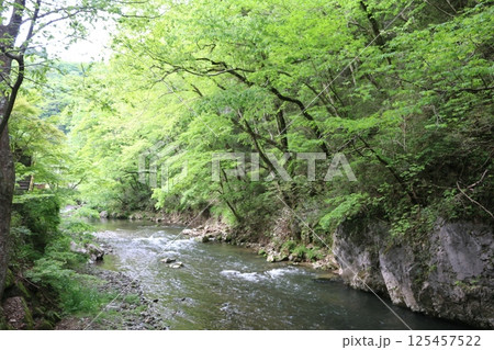 初夏の帝釈峡 125457522