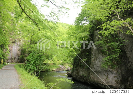 初夏の帝釈峡 125457525