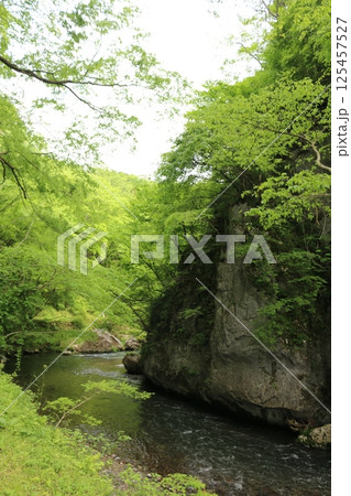 初夏の帝釈峡 初夏の帝釈峡 125457527