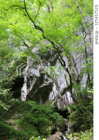 初夏の帝釈峡 初夏の帝釈峡 125457528
