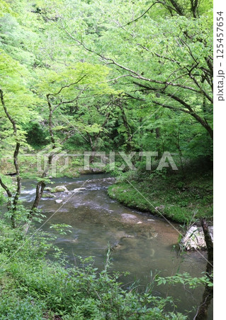 初夏の帝釈峡 初夏の帝釈峡 125457654