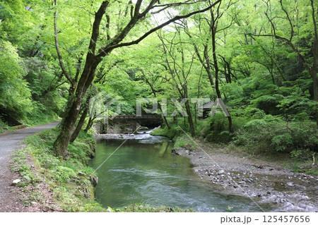 初夏の帝釈峡 125457656