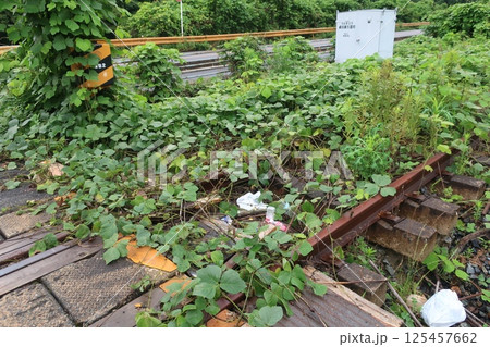 植物に覆われた線路 125457662