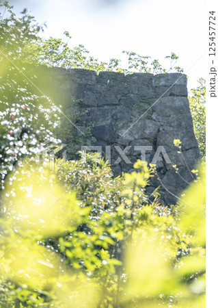 新緑の米子城跡 125457724