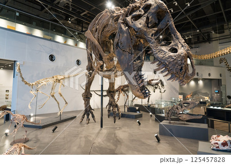 長崎市恐竜博物館 125457828
